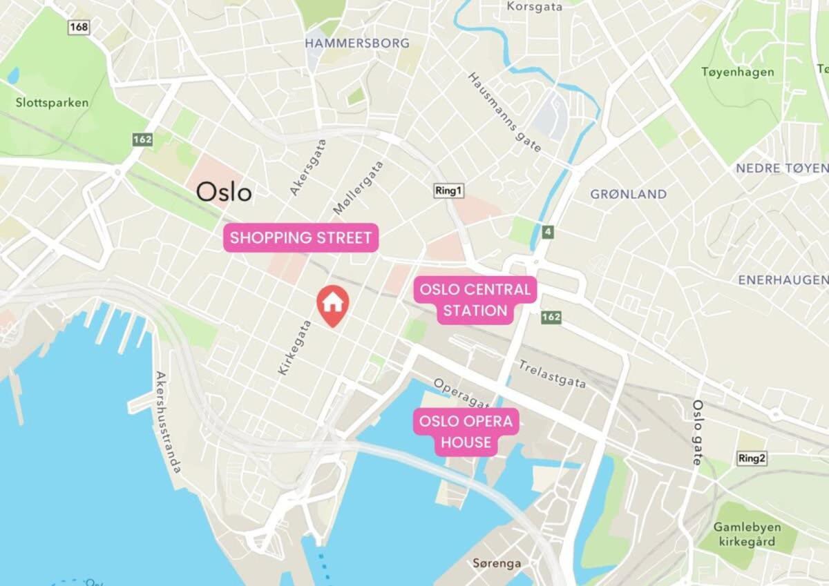 Dinbnb I 500m To Station I Roof Terrace * Oslo